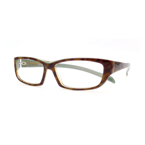 Po13 - Tortoise and Olive