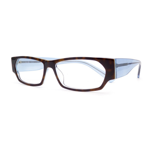 Po26 - Blue Tortoise