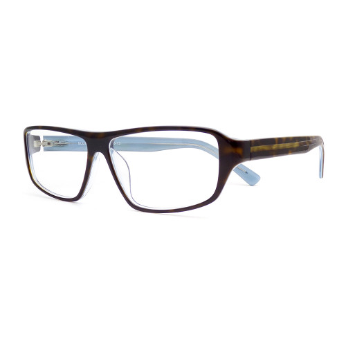 po37 - Blue Tortoise po37 - Blue Tortoise