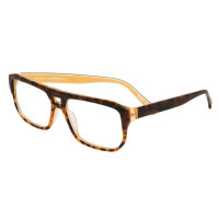 po61 - tortoise surprise